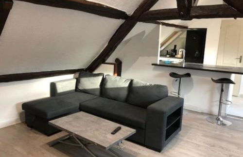 La Maison Gauloise - Asterix CDG Paris - Foto 22