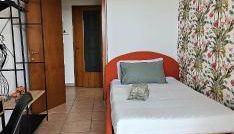 Green House - Photo 3