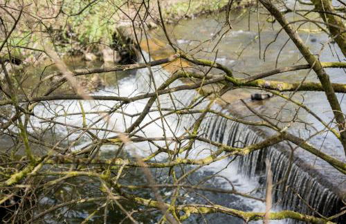 Dunraven An Adorable House In The Afan Forest by STAE-Homes - Foto 39