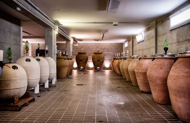 I Cacciagalli - Photo 34