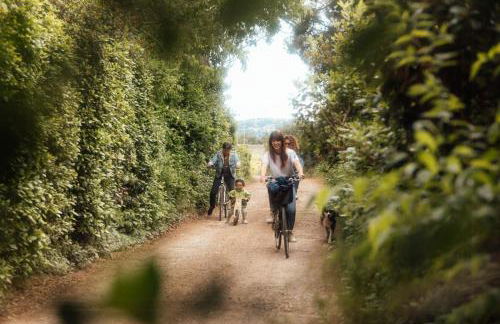 Eco-Friendly Gite In A Wine Estate In Frontignan - Foto 14