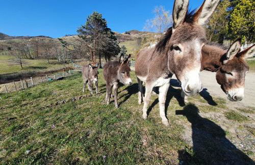 Cuccaro Club - Val di Vara e Cinque Terre - Foto 60
