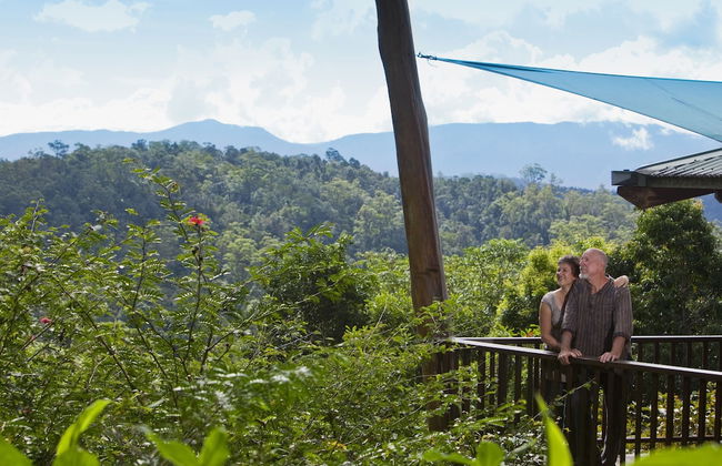 Rose Gums Wilderness Retreat - Foto 37