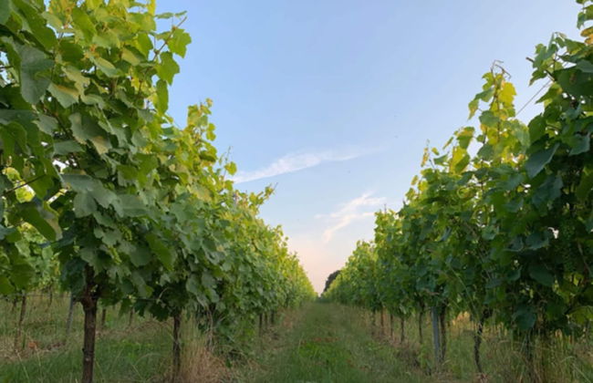 Holiday Home in Vlijtingen With Garden - Foto 34