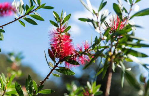 Résidence Villa Smeralda - Foto 44