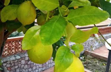 Villa Verde - Foto 77