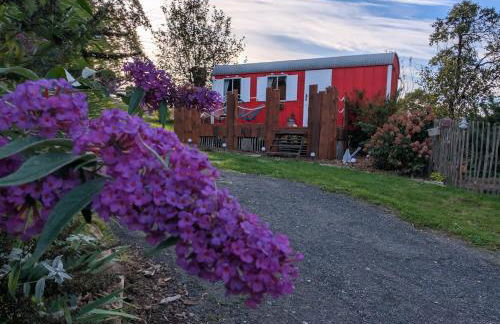 Auszeit im Bauwagen - Foto 13