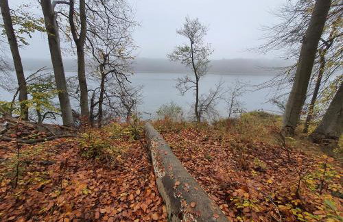 Bukowa Ostoja - Foto 26