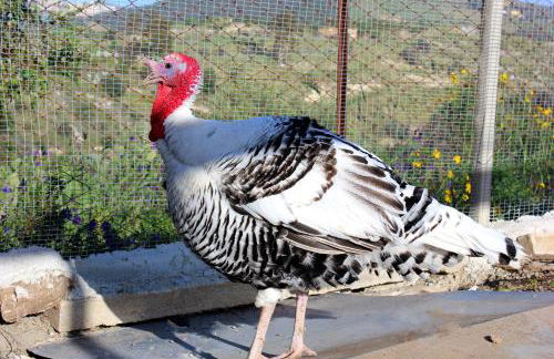 Agriturismo La Casa di Bacco - Foto 73