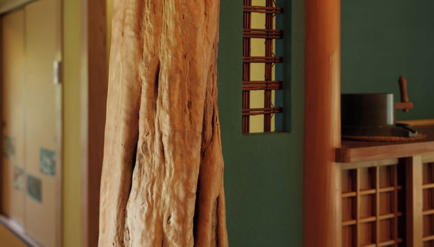 Yufuin Geihinkan Torigoebettei - Foto 2, Entrada interior