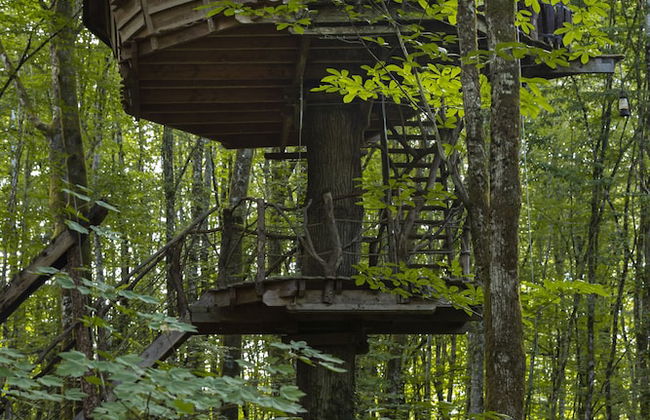 L'Arbre à Cabane - Foto 28