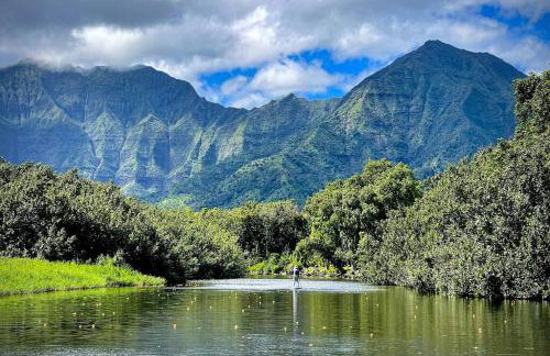 Hanalei Waterfalls House TVNC #5120 - Foto 39