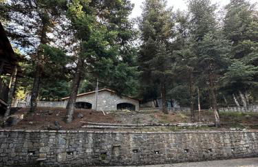 Villazia The Highest - Foto 39