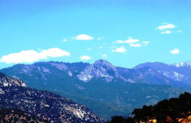 Shady Knoll - Photo 1