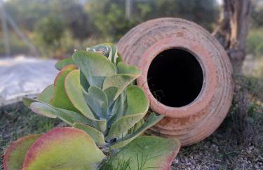 Three Charites Resort - Foto 78