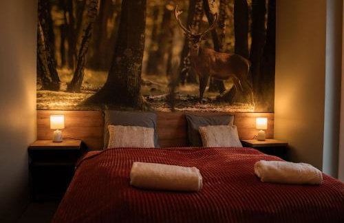 Domki Natura Zator - Foto 1