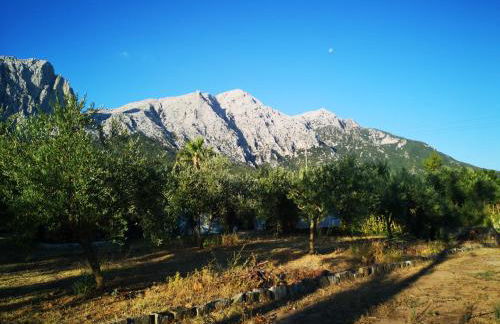 Pinnettu sardo tipica abitazione sarda in ecosistema insetti e animaletti simpatici in condivisione bagno esterno a 10metri Leggere attentamente Prima di prenotare - Foto 78