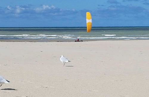 LES COQUILLAGES, 2 salles de bains, lits faits et tout à pied - Foto 45