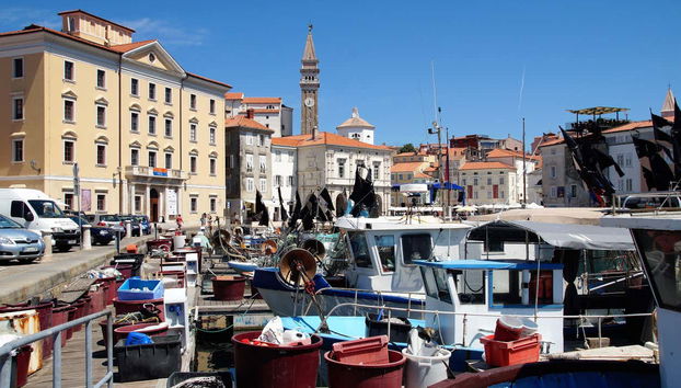 Piran Harbour
