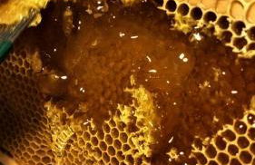 AGRITURISMO TERRAPIA - Foto 27