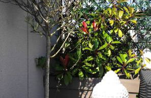 ZION -100m Zen - Paris-DisneyLand - Foto 51