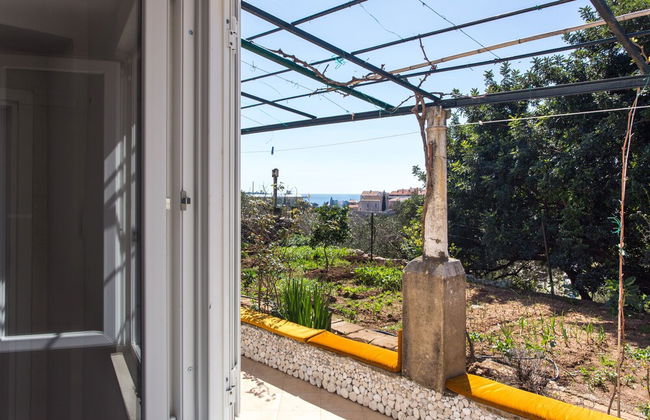 Apartments Ljubimir - Foto 24