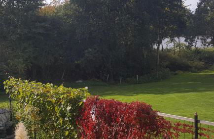 Ferienwohnung Seeblick - Foto 31