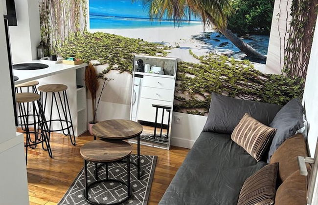 APPARTEMENT PARIS CDG COSY ET LUMINEUX - Photo 6