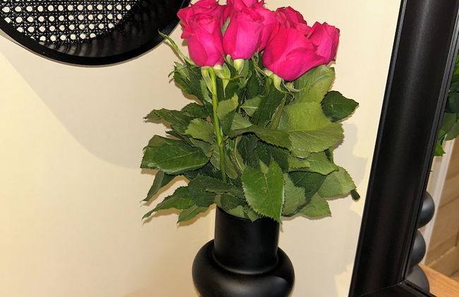 Claverley Hideaway Apartment Bridgnorth - Foto 30