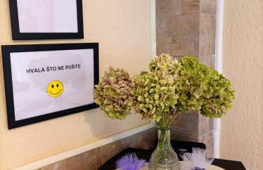 Apartmani Sabina - Foto 55