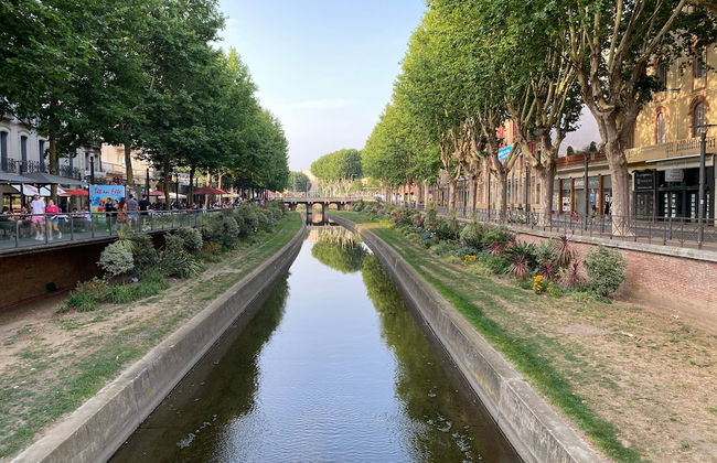 Au Coeur de Perpignan - Foto 52