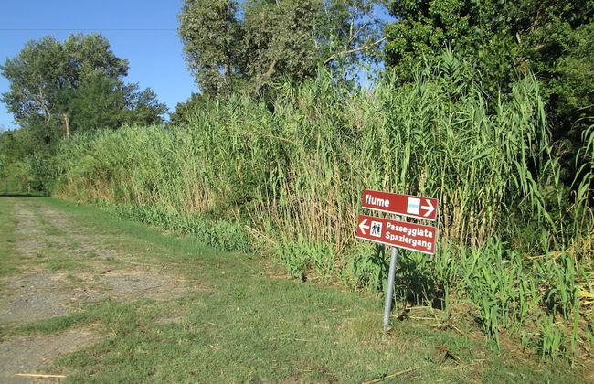Fattoria La Steccaia - Foto 57