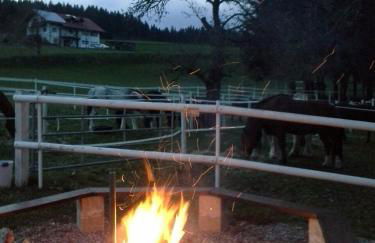 Gästehaus Bartlehof - Foto 10