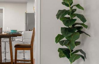 Cozy 4BR Home Pet Friendly Large Yard & Patio - Foto 11