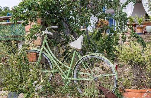 Vivienda rural del salado - Foto 58