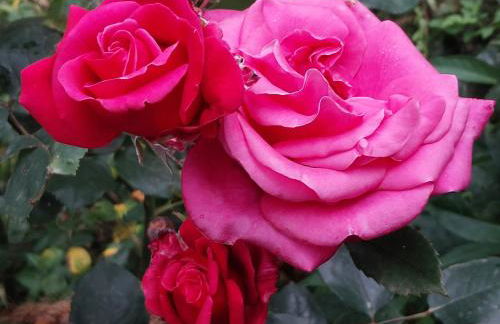 Kroneloft 4 Schlafzimmer 250 qm - Foto 37