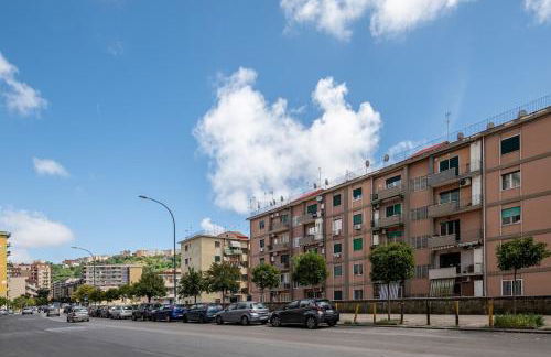 House Calise 14 - Photo 22