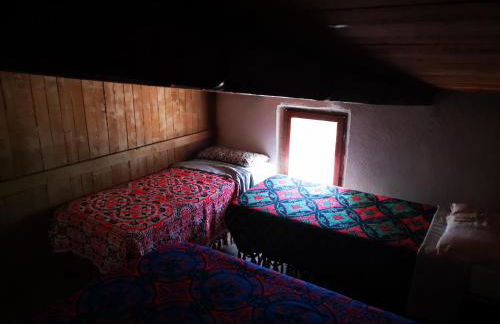 Pinnettu sardo casa di campagna in ecosistema insetti e animaletti simpatici in condivisione,Leggere attentamente Prima di prenotare - Foto 51