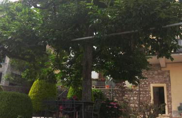 Giardino Fiorito - Foto 7