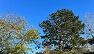 Le Donjon, bord de mer - Foto 4