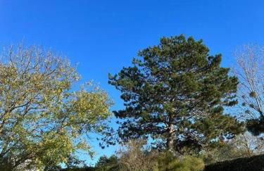 Le Donjon, bord de mer - Foto 4