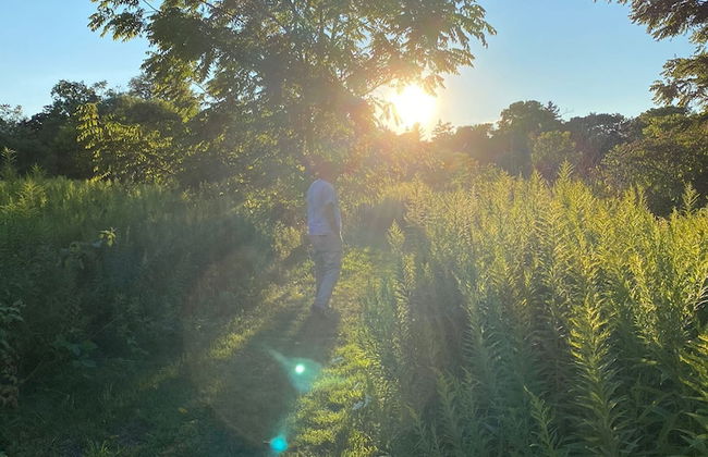 Brand New Basement Apt next to Beach & Go Train - Foto 28