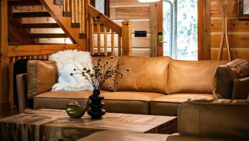 The Lodge at Shuler Gap - Photo 5