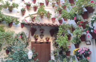 El Capricho de San Fernando, Consigna gratis y Parking a 200mts - Foto 75