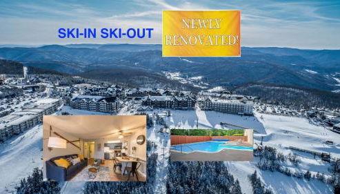 Snowshoe Ski-in & Ski-out at Silvercreek Resort - Family friendly, jacuzzi, hot tub, mountain views - Foto 2