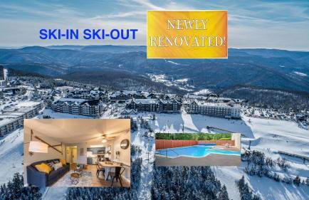 Snowshoe Ski-in & Ski-out at Silvercreek Resort - Family friendly, jacuzzi, hot tub, mountain views - Foto 2