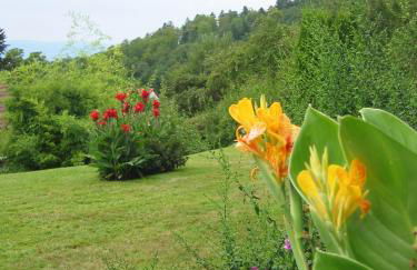 Haus Fernblick - Foto 18