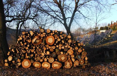 Agriturismo La Campana - Foto 20