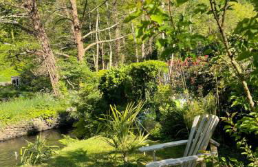 La maison bleue - Photo 41