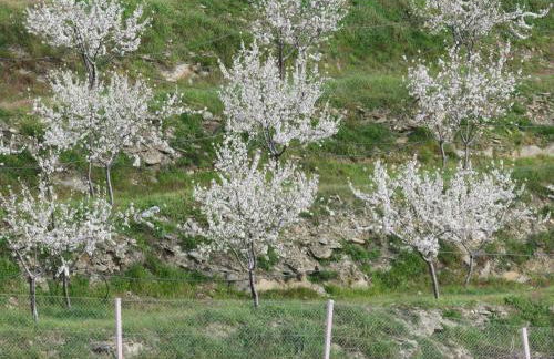 Casa das Eiras - Foto 31